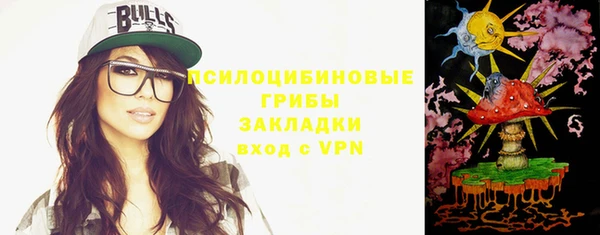 индика Абдулино